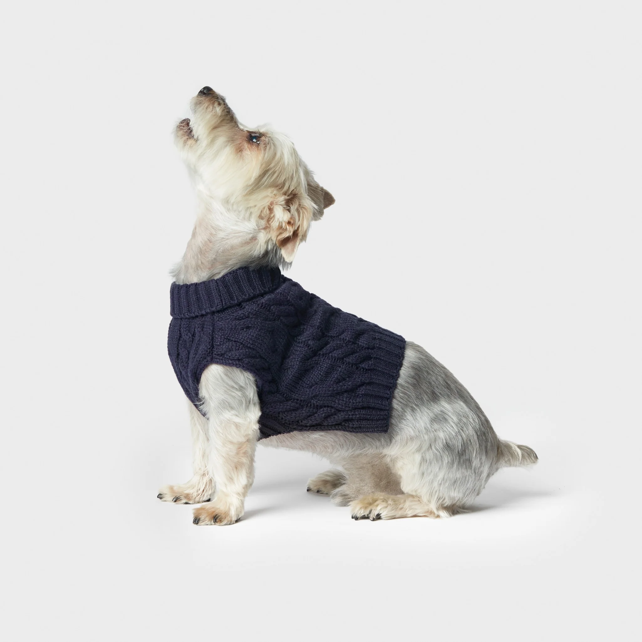 Cable Knit Dog Sweater - Navy - Image 4